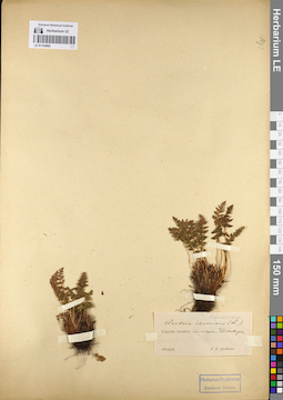 LE 01143865