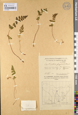 LE 01143876
