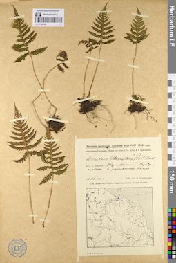 LE 01144180