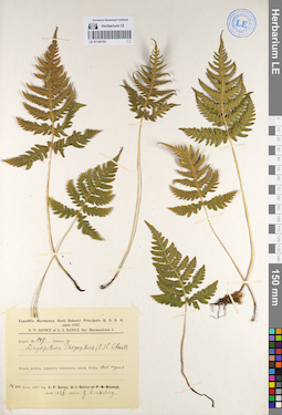 LE 01144193