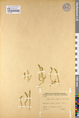 LE 01139491