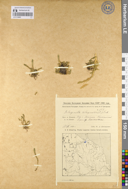 LE 01139495