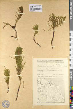 LE 01144577