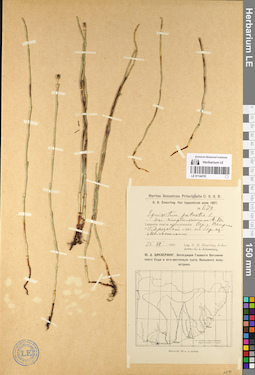 LE 01144701