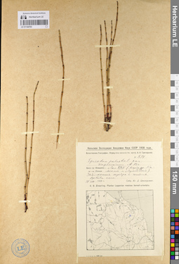 LE 01144702