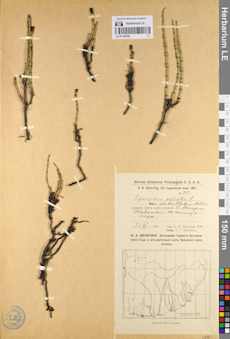 LE 01144708