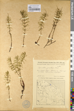 LE 01144746