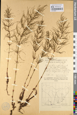 LE 01144835