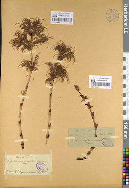 LE 01144880