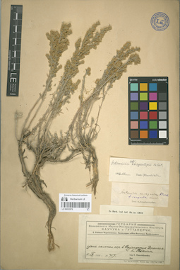LE 00052878