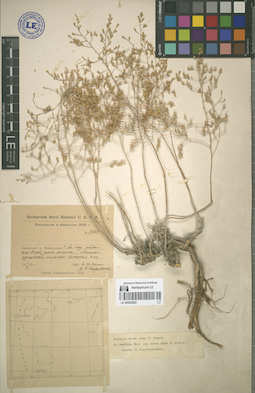 LE 00052882