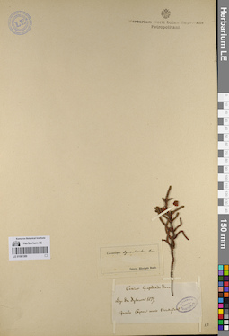 LE 01081389