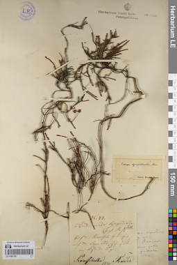 LE 01081392