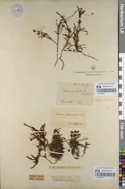 LE 01081394
