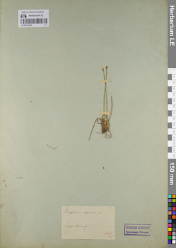 LE 01131748