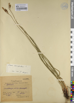 LE 01132916