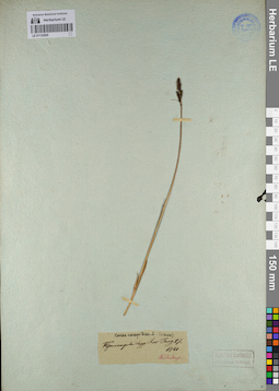 LE 01132920