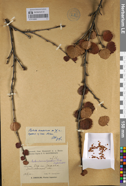 LE 01142890