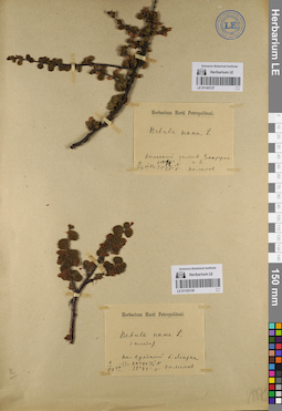 LE 01143138