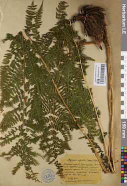LE 01144278