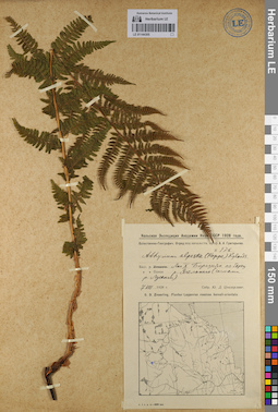 LE 01144305