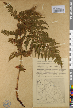 LE 01144321