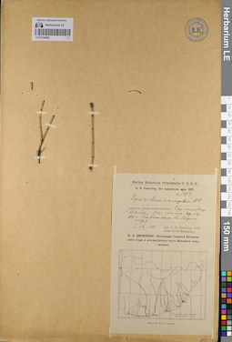 LE 01144892