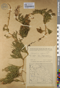 LE 01144938