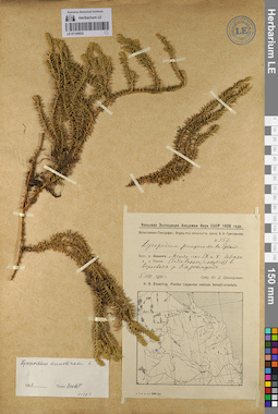 LE 01145032