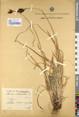 LE 01132076