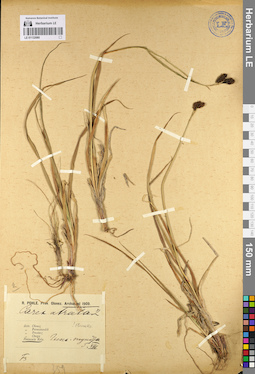 LE 01132080