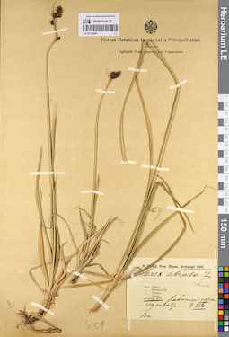 LE 01132097