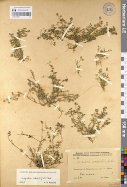 LE 01110517