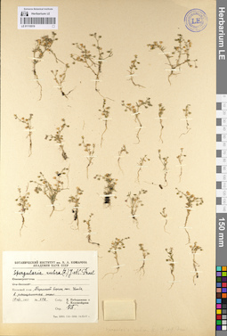 LE 01110519