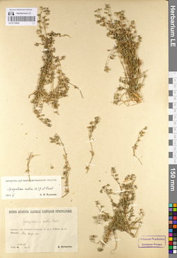 LE 01110520