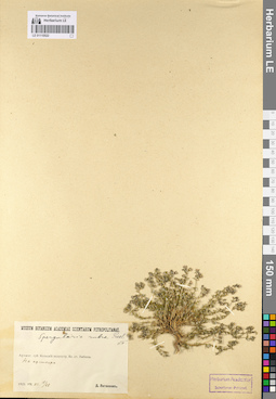 LE 01110522
