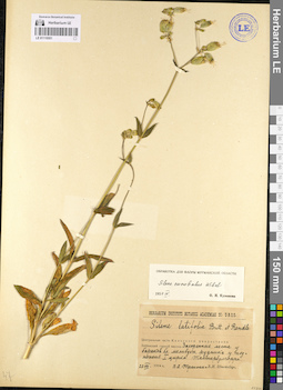 LE 01110551