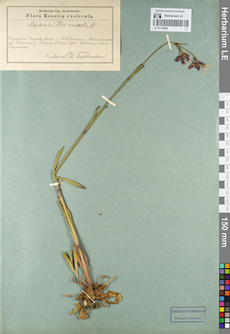 LE 01110588