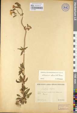 LE 01110595