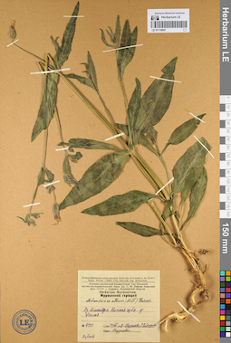 LE 01110601