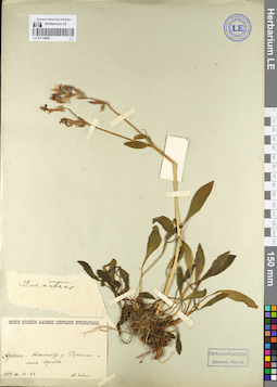 LE 01110602