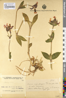LE 01110615