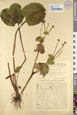 LE 01110772