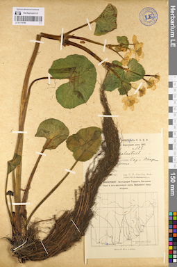 LE 01110780