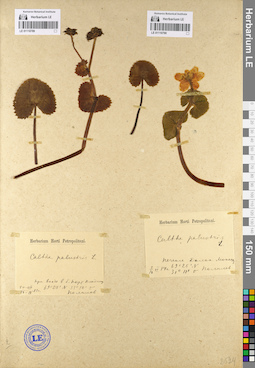 LE 01110790