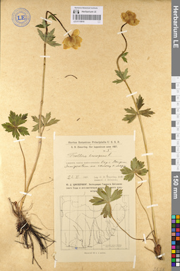 LE 01110916