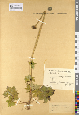 LE 01110920