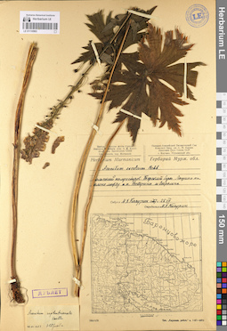 LE 01110963