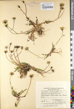 LE 01111245