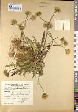 LE 01111268